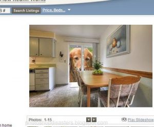 Photoshop Fails
