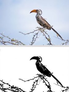 application du filtre "Seuil"