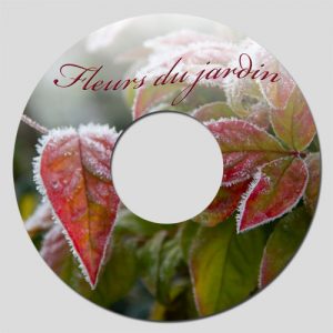 Etiquette CD réalisée sous Photoshop Eléments