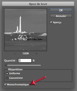 Filtre bruit sous Photoshop Elements