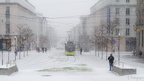 Il neige à Brest